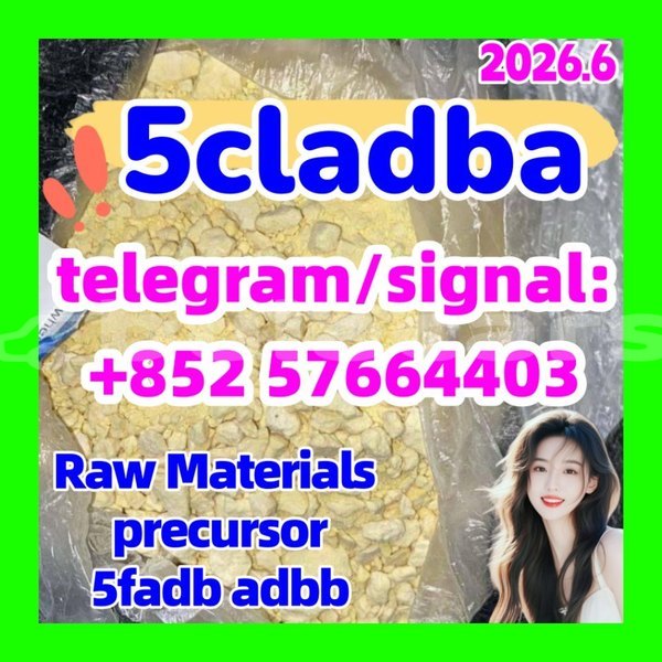 Big with watermark 56