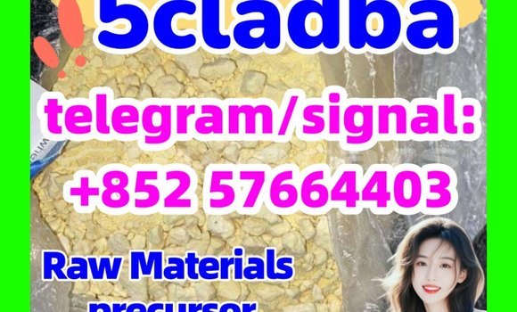 Medium with watermark 56
