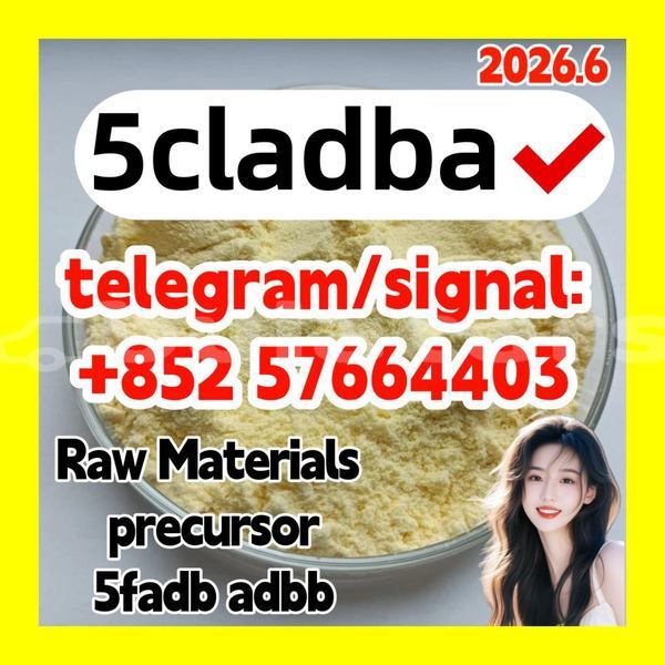 Big with watermark 511