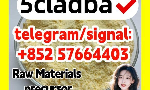 Medium with watermark 511