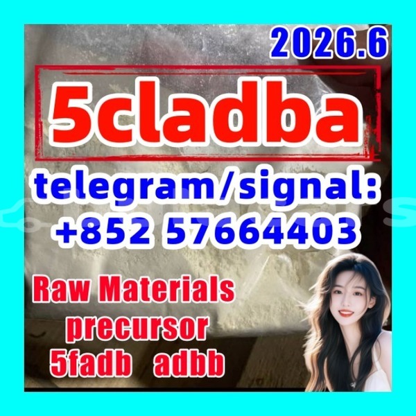 Big with watermark 512