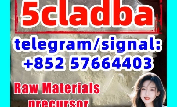 Medium with watermark 512