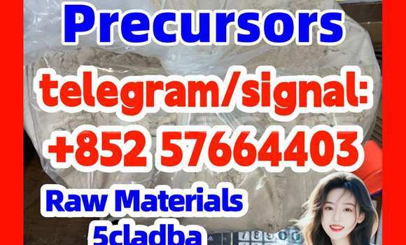Medium with watermark 513
