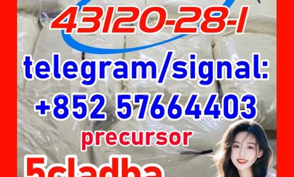 Medium with watermark 43121