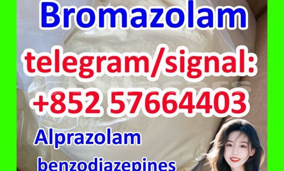 Medium with watermark b3