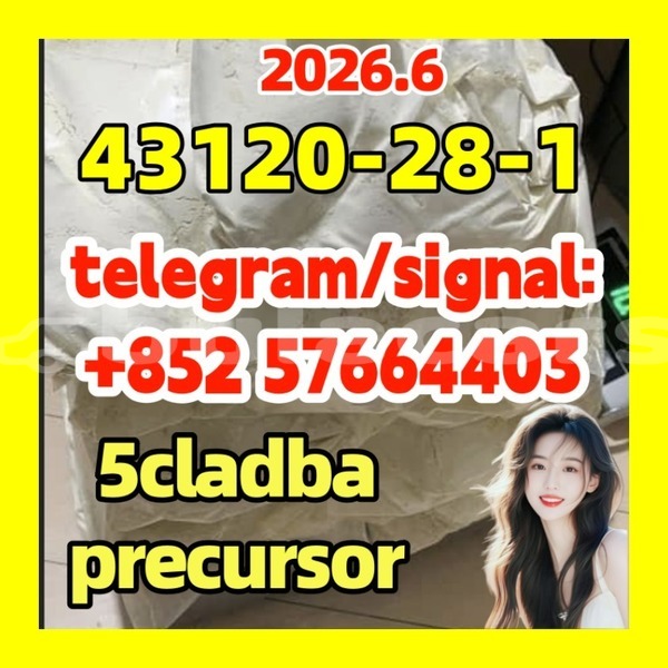 Big with watermark 43122