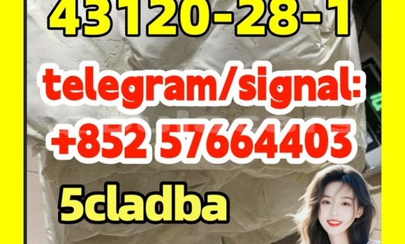 Medium with watermark 43122