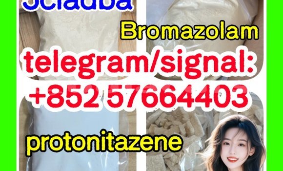 Medium with watermark z1