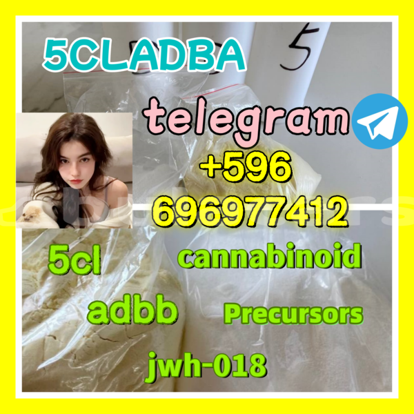 Big with watermark 8.1