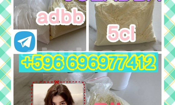 Medium with watermark 1.1