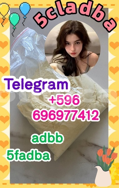 Big with watermark 1.5