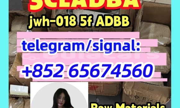 Medium with watermark photo 2026 03 04 10 21 26 %e5%89%af%e6%9c%ac
