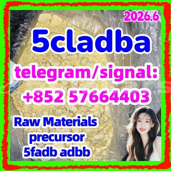 Big with watermark 56