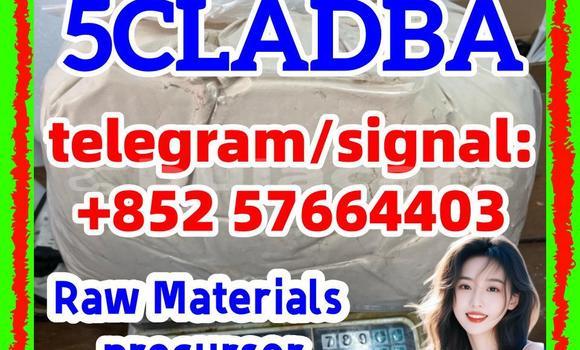 Medium with watermark 57