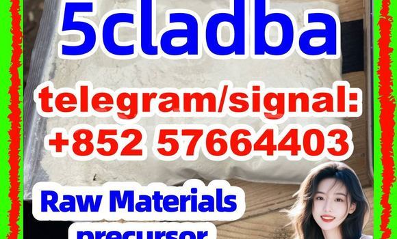 Medium with watermark 58