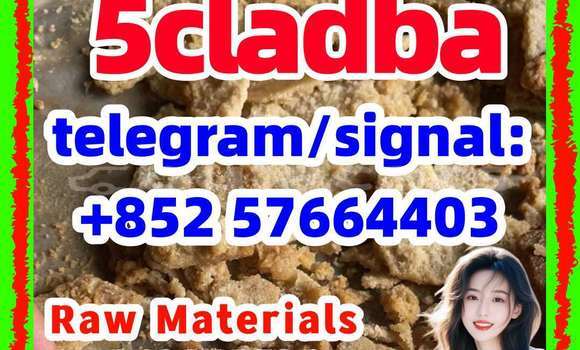 Medium with watermark 510