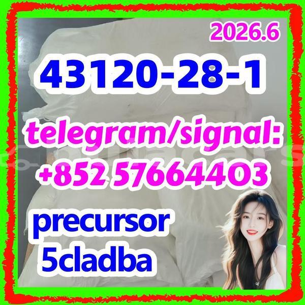 Big with watermark 43120