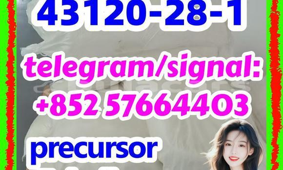 Medium with watermark 43120