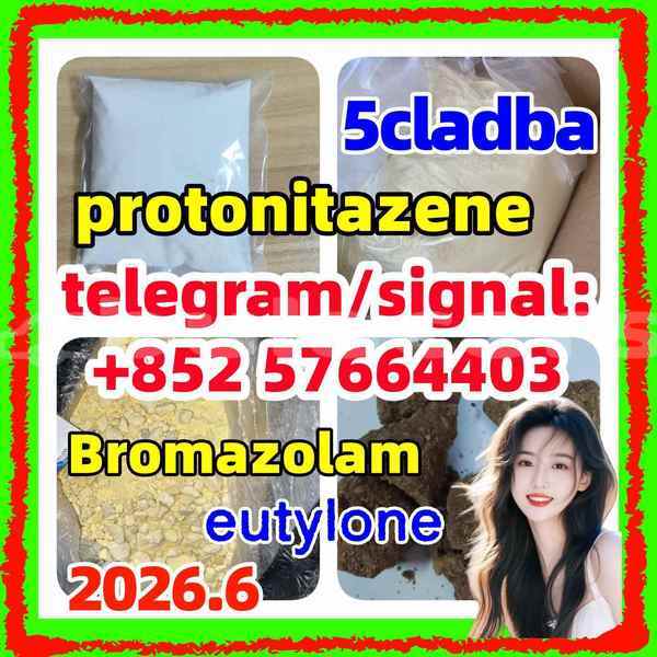 Big with watermark z1