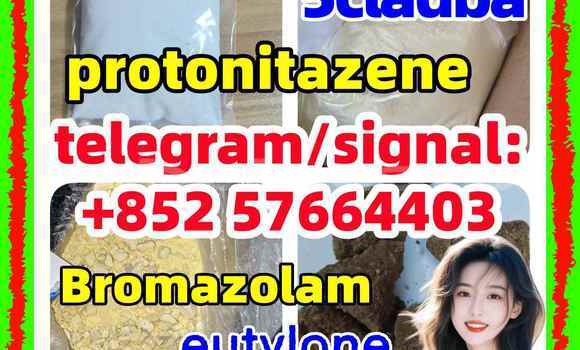 Medium with watermark z1