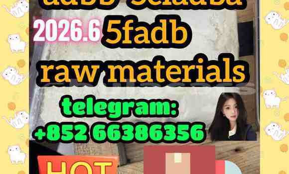 Medium with watermark 5