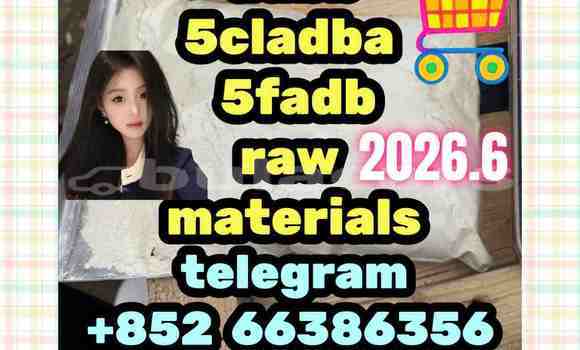 Medium with watermark 8