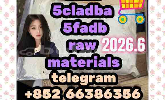 Medium with watermark 9