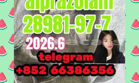 Medium with watermark 13