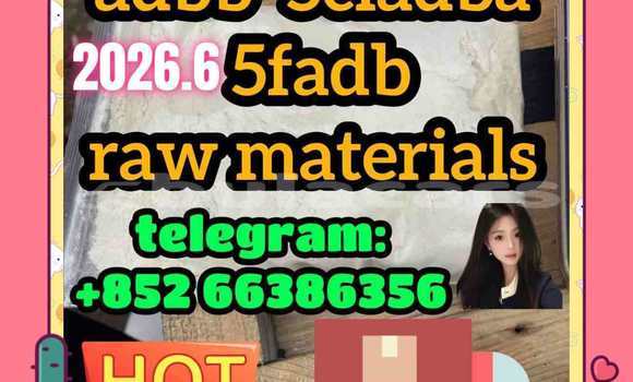 Medium with watermark 5