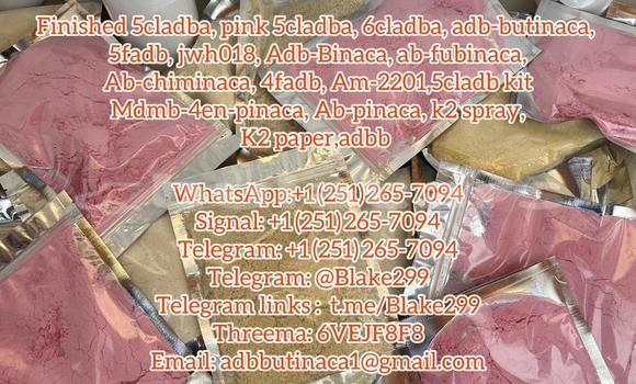 Medium with watermark 4f5c2908 150e 4a0a a069 d2b1ab2a306b
