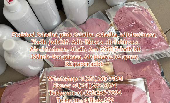 Medium with watermark fb72f550 b94b 4334 9fd4 674a393ab492 1 