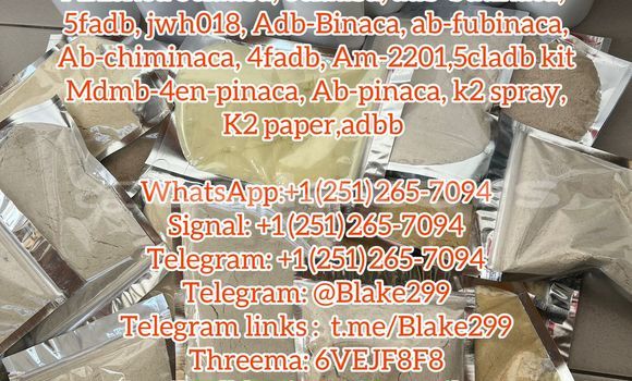 Medium with watermark 2fc1d9c5 8d6e 4b1e 8057 19773e8e7e74