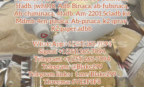 Medium with watermark 451eef2c 4dae 411c bed3 db0e29777559