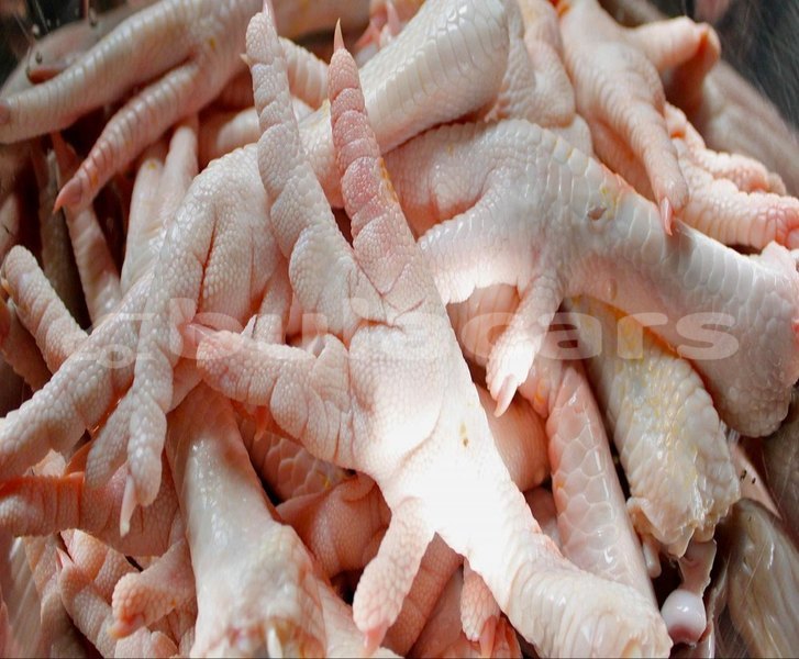 Big with watermark halal frozen chicken paws for export