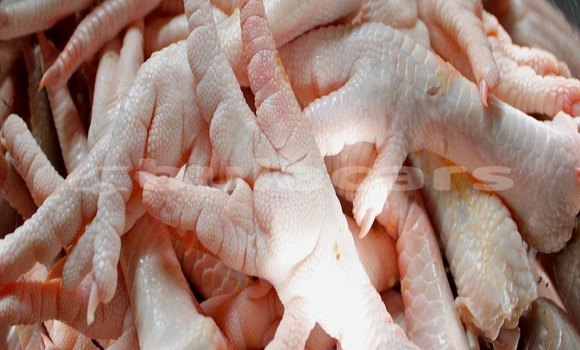 Medium with watermark halal frozen chicken paws for export