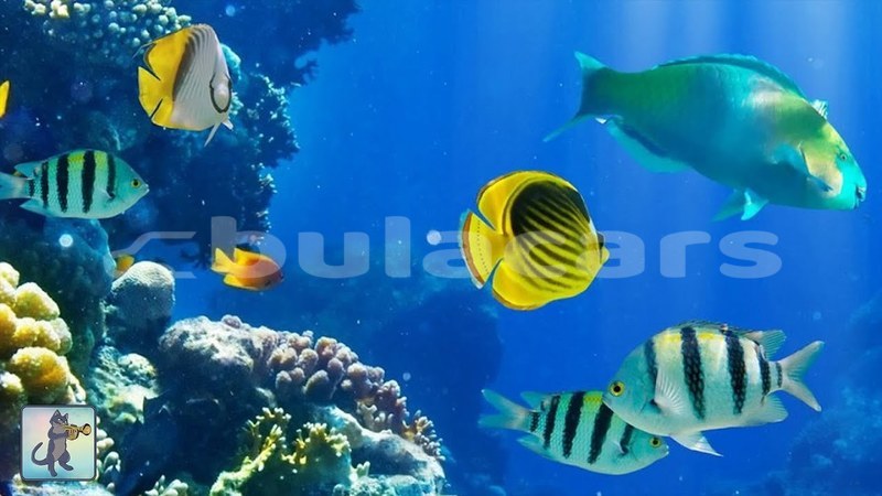 Big with watermark maxresdefault