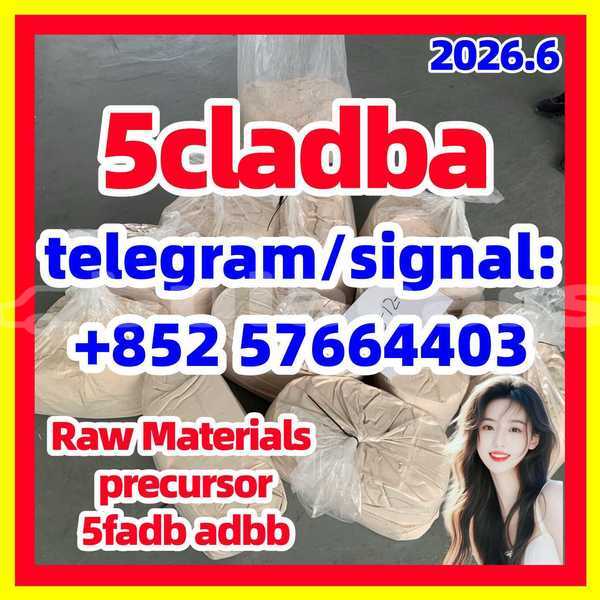 Big with watermark 56
