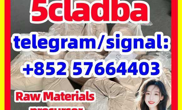 Medium with watermark 56