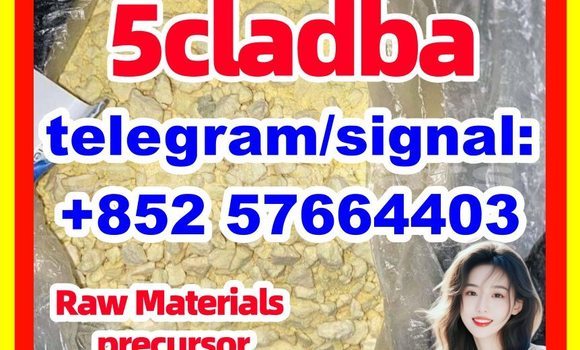 Medium with watermark 57