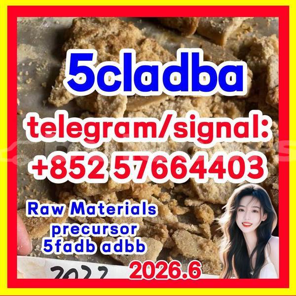 Big with watermark 58