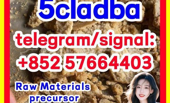 Medium with watermark 58