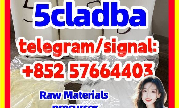 Medium with watermark 59