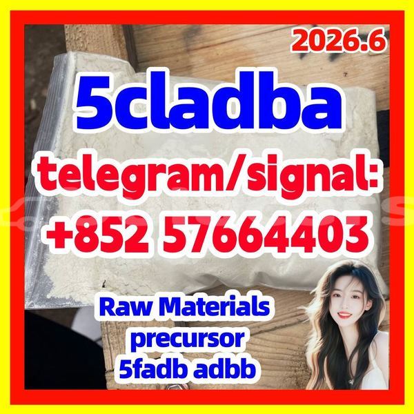 Big with watermark 510