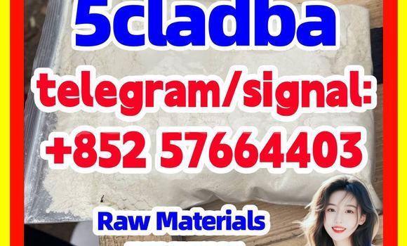 Medium with watermark 510