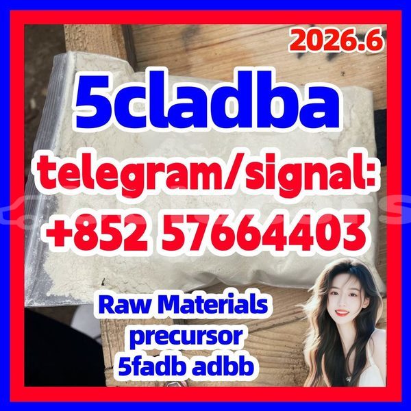 Big with watermark 516