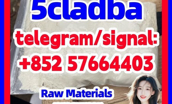 Medium with watermark 516