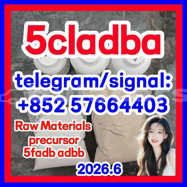 Big with watermark 512
