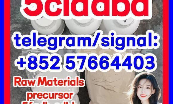 Medium with watermark 512