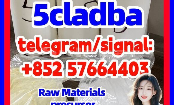 Medium with watermark 518