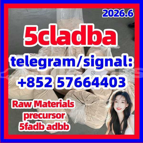 Big with watermark 519